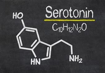 SERATONINE 1