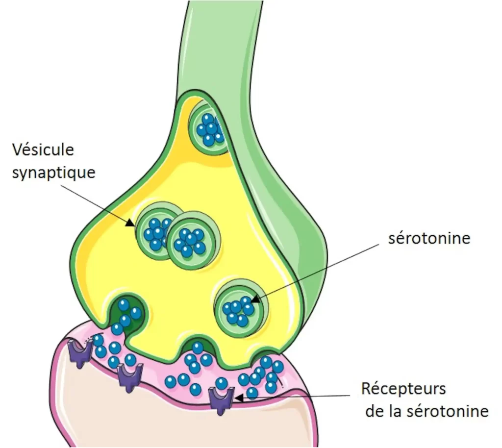 trasmetteur