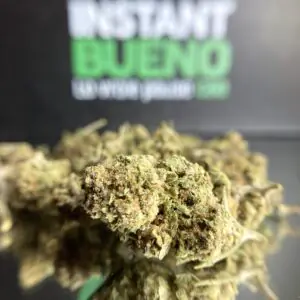 White Widow Small Bud Indoor