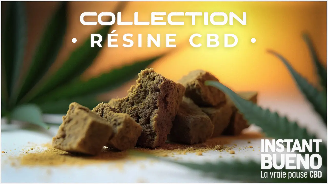 instant bueno vignette concept resine cbd