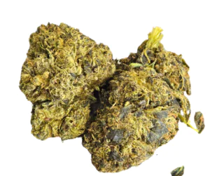 XTREM Amnésia CBDX 40%