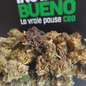 Rasberry small bud bio