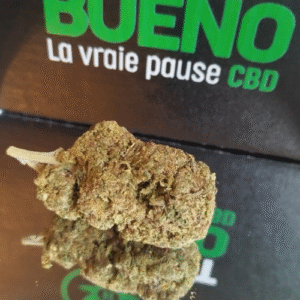 Orange Bud Hydro