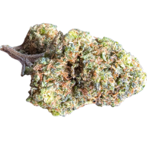 xtrem GORILLA THV N10 40%