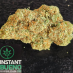 20260308_083347_0000