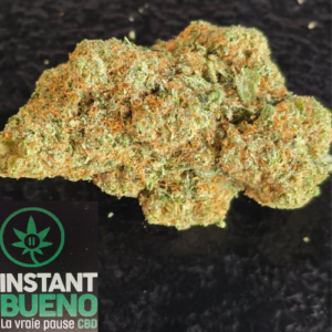 Accueil 10 FORBIDEN HYDRO CBD