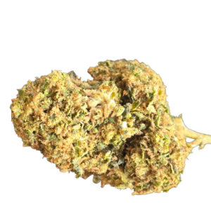 Accueil 9 20260308 090331 0000