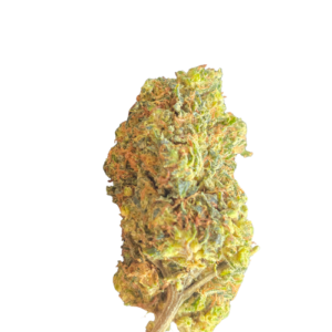 Accueil 7 20260308 093307 0000