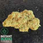 20260308_201704_0000