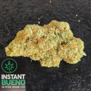 Accueil 11 20260308 201704 0000