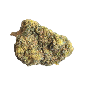 Accueil 15 20260315 111504 0000