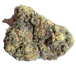 Accueil 14 FORBIDEN HE