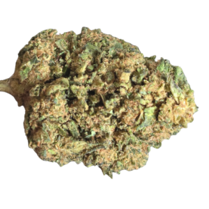 Accueil 13 20260315 112435 0000