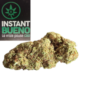 Accueil 11 20260315 113925 0000