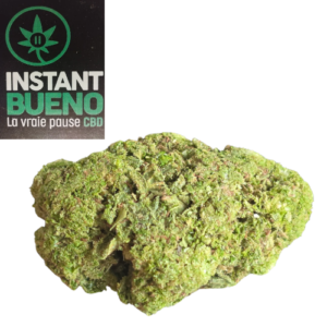 Accueil 8 GREEN CRACK "cryo"CBD