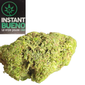 Accueil 9 20260315 115407 0000