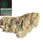 20260315_120342_0000