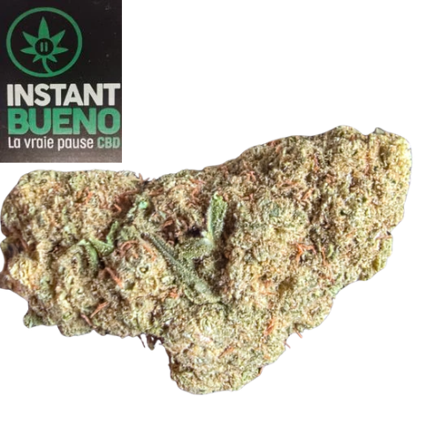 20260315_120342_0000 20260315 120342 0000