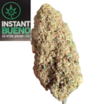 20260315_120444_0000