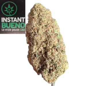 Accueil 7 20260315 120444 0000