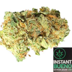 Accueil 7 20260404 223717 0000