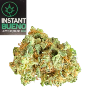 Accueil 6 CALI ORANGELATO HYDRO