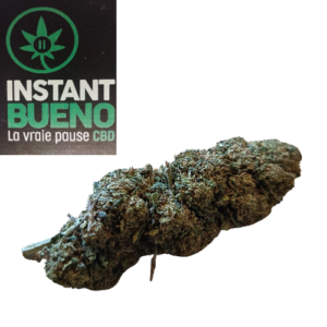 Accueil 10 HARLEQUIN CBD